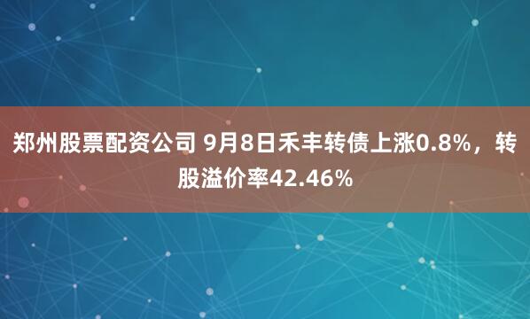 郑州股票配资公司 9月8日禾丰转债上涨0.8%,转股溢价率42.46%
